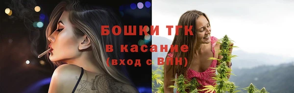 ГАЛЛЮЦИНОГЕННЫЕ ГРИБЫ Лабытнанги