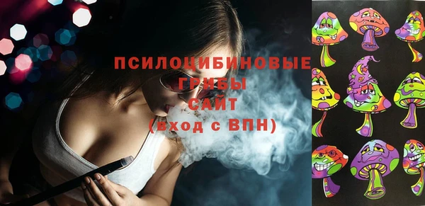 соль ск Лиски