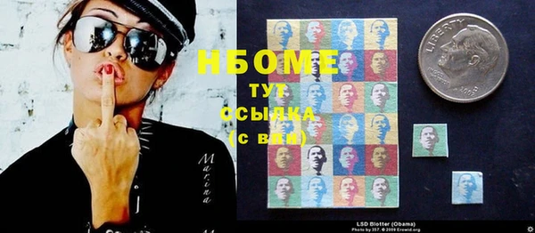 ГАЛЛЮЦИНОГЕННЫЕ ГРИБЫ Лабытнанги