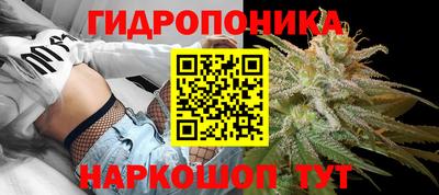 a pvp Заводоуковск