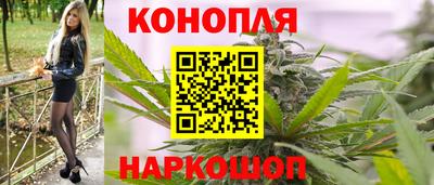 дживик Кингисепп