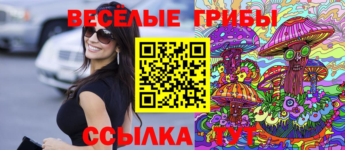 Псилоцибиновые грибы Psilocybe Тихорецк