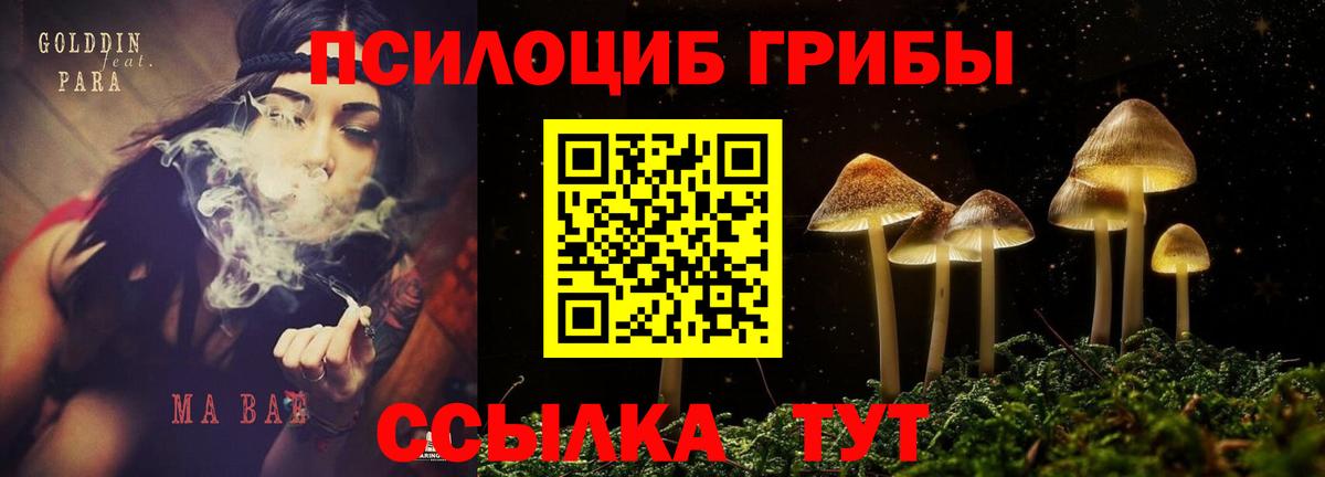 Тихорецк  Галлюциногенные грибы прущие грибы  Галлюциногенные грибы Cubensis  магазин продажи   Вход с VPN 